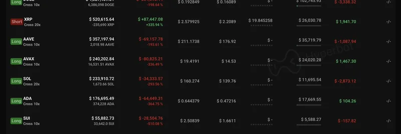 HyperLiquidのクジラが$3MのUSDCを入金：含み損の中でDOGEとBOMEに強気