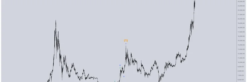 Lessons from Bitcoin's COVID Crash: How Market Structure Guides Meme Coin Strategies