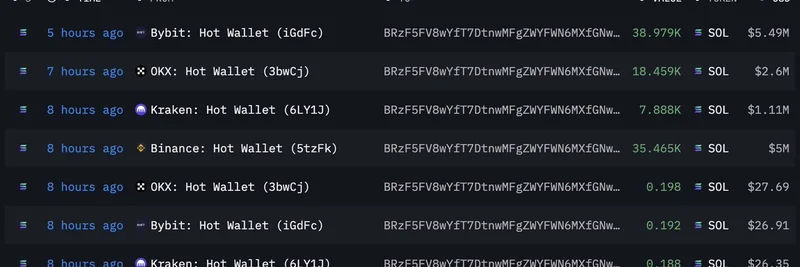 Mysterious Wallet Withdraws $14M in SOL from Major Exchanges: Implications for Meme Tokens