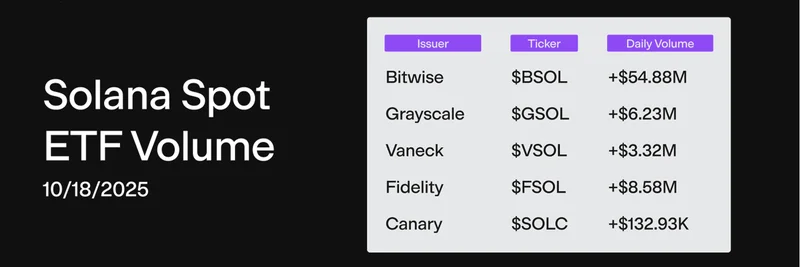 솔라나 ETF 거래량 7천만 달러 돌파: 비트와이즈 선두, 밈 토큰에도 호재될까