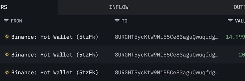 고래들이 바이낸스에서 70,000 SOL을 인출했다: Solana의 밈 토큰에 미치는 영향