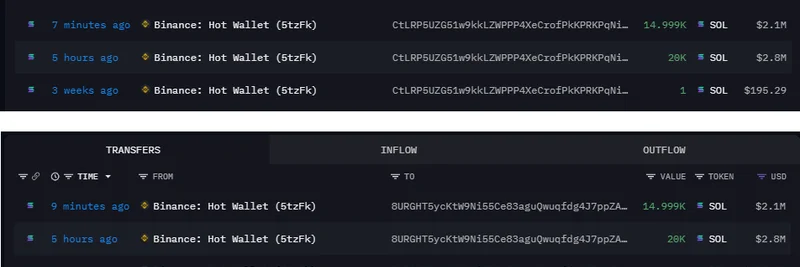 Whales Withdraw 70K SOL from Binance: What It Means for Meme Tokens