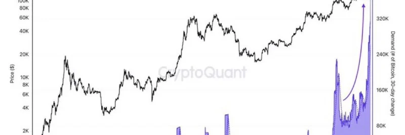 比特币累积者需求达历史新高：meme 币持有者为何应注意