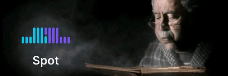 デゲンの定番：Solanaミームトークン向けMeteoraAG DLMMでSpot戦略を極める