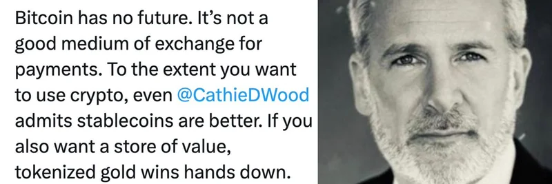 彼得·希夫声称比特币没有未来：加密社区强力回击