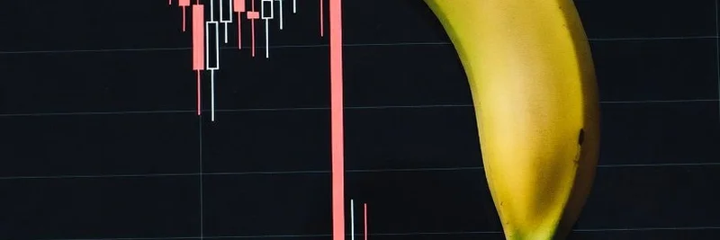 Raoul Pal's Insights on Fed's Regulatory Dominance and Its Impact on Meme Coins