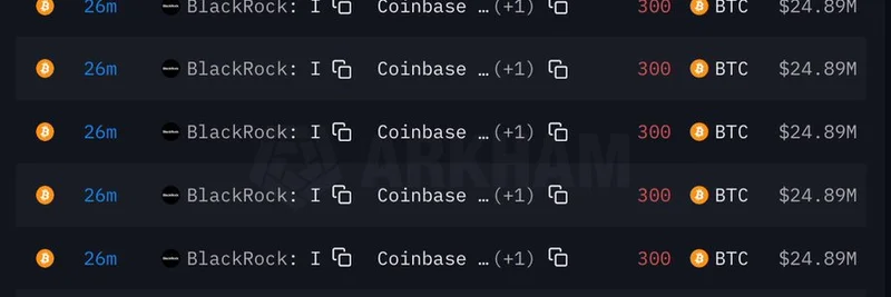 BlackRock Deposits $465M in BTC and ETH to Coinbase: Bear Market Fears or Bullish Signal for Meme Tokens?