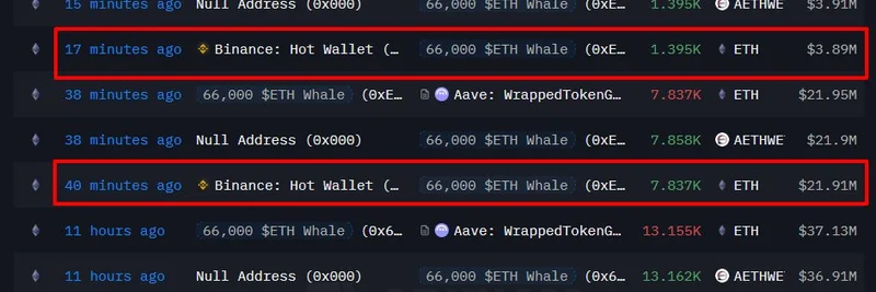 以太坊巨鲸在 Binance 12 小时内累计购入 1.8856 亿美元 ETH：这对迷因代币意味着什么