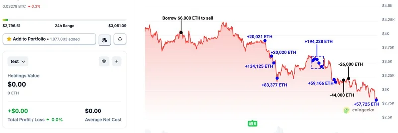 ETH Whale Accumulates Billions Amid Market Dip: Implications for Meme Tokens