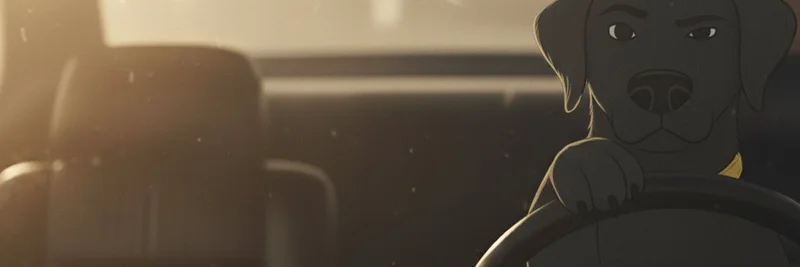 埃隆·马斯克的 X 定位功能引发隐私担忧与对 Zcash 的炒作