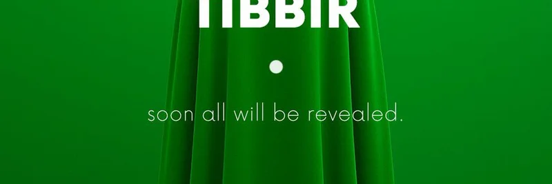 TIBBIR：巨大なアップサイドを秘めたリビット・キャピタルの「反転」ミームトークン