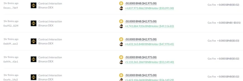 Crypto Whale Snaps Up 8.62% of BNBHolder Supply After Binance Alpha Listing