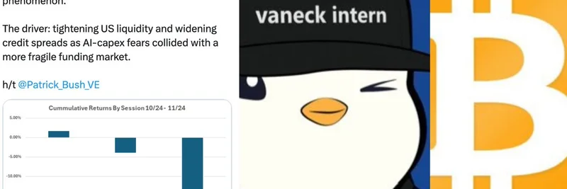 VanEck Analysts Explain Bitcoin's US-Driven Selloff Amid AI Fears