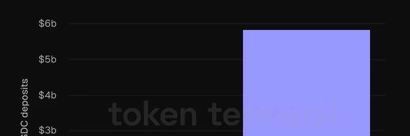 AaveがDeFiレンディングのUSDC預金をリード：Token Terminalの洞察