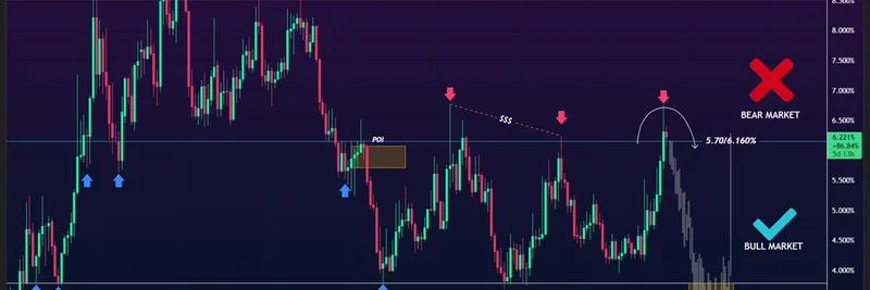 山寨币季是否即将来临？EtherRawl 解读市场陷阱与 USDT 主导地位