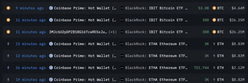 ブラックロックがBTCとETHに1億2900万ドル投資：ミームコインへの影響