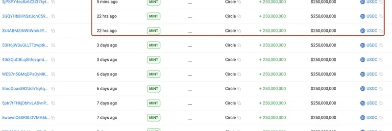 Circleが12億5,000万USDCを発行：暴落後のミームトークンに向けた新たな流動性の追い風