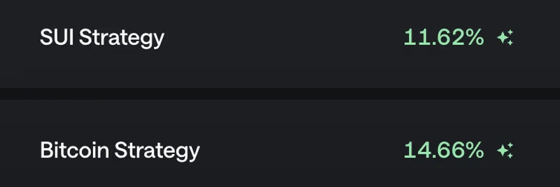 High-Yield DeFi Strategies on Sui: Leveraging Ember Protocol and Bluefin for Up to 20% APY