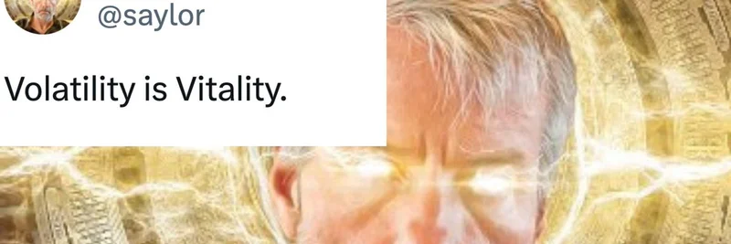 마이클 세일러가 '변동성은 활력이다'라고 선언했다: 밈 코인에 미치는 의미