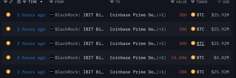 BlackRock 向 Coinbase 存入 2,156 BTC，价值约 1.8626 亿美元：这对 meme 代币意味着什么