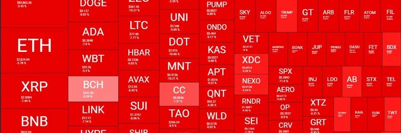 Crypto Market Crash: $15 Billion Lost in One Hour and Its Impact on Meme Coins