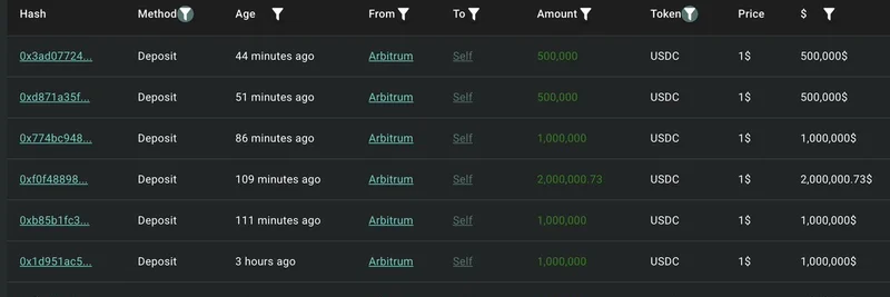 암호화폐 고래, Hyperliquid에 1,000만 달러 USDC 입금 후 20x ETH 대형 롱 포지션 개설 — 청산 가격 $1,990