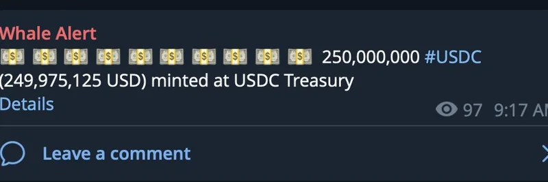 Solana에서 발생한 2억5천만 달러 규모 USDC 대량 발행: 밈 토큰 유동성에 불을 지필까?