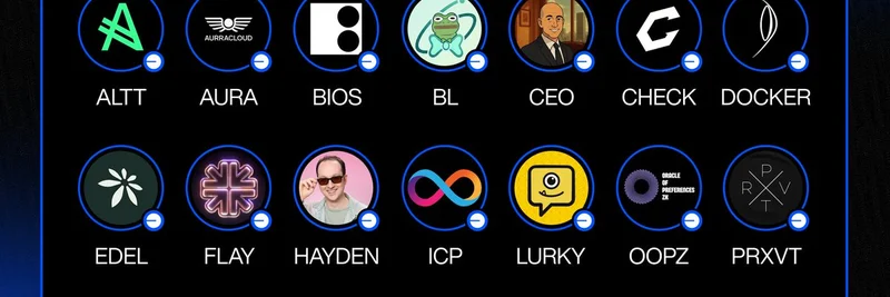 Wasabi Protocol 2025年11月回顾：新的迷因代币在 Base 上开启杠杆与收益