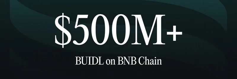 BlackRock의 BUIDL 펀드, BNB Chain에서 자산 5억 달러 돌파: 토큰화 자산에 의미하는 바