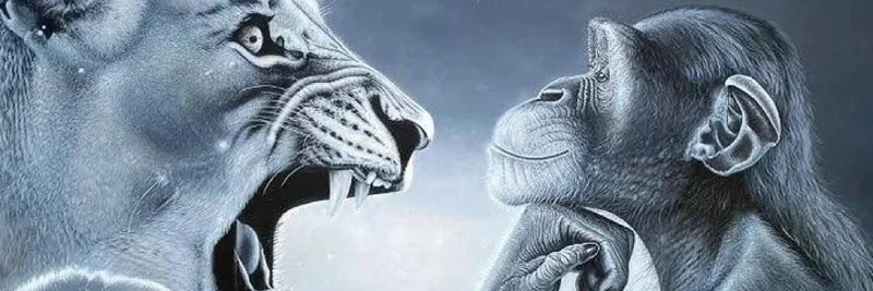 MoonPayの『Rage Bait』をめぐるバイラルな一撃とオックスフォードの今年の単語：ミームコイン現象