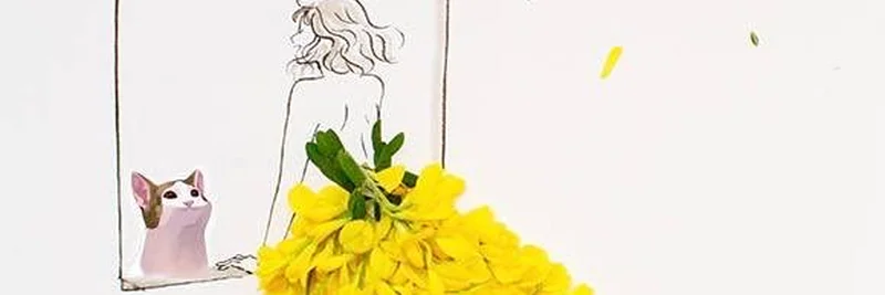 POPCAT 两周年：从 rugpull 到社群传奇的史诗级迷因币之旅