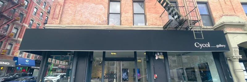 2025年11月纽约 Solana 精彩回顾：Cycol 画廊盛大开幕与表情包驱动的艺术革命