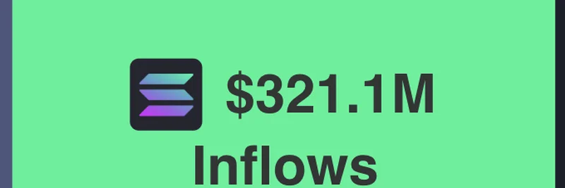 Solana 在 11 月从以太坊及其他链吸引 4.6 亿美元流入：对 Meme 代币的利好信号