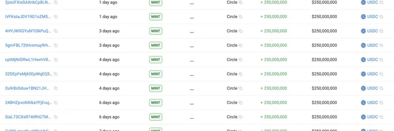 Circle Mints 10B USDC in Past Month: Whale Inflows Fuel Meme Token Rally and Crypto Bull Run