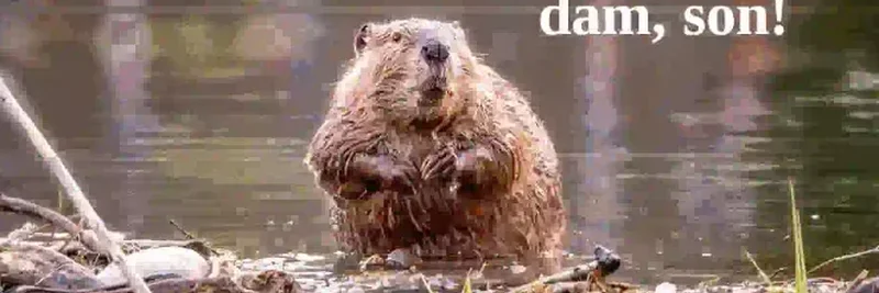 Symbolic Capital Partners、HumidFi $WETトークンのローンチでSolanaの注目を集める