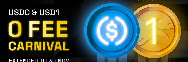 BNB Chain 제로 수수료 카니발 연장: 12월 31일까지 USDC 및 USD1 전송 무료 — 밈 토큰의 게임 체인저