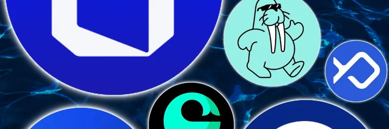 Sui Networkのトークンが急騰：トップ銘柄が活況、$TAKEが33%上昇