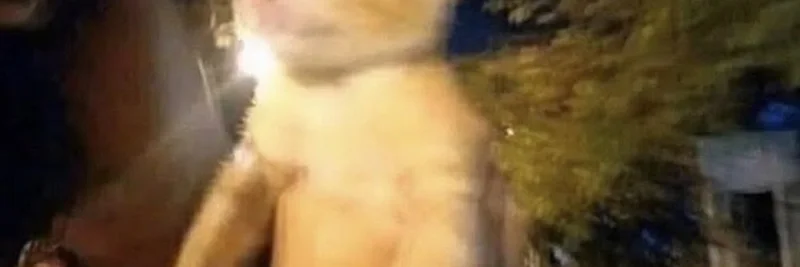 Twocents 파이낸스 앱 출시: $2.5M를 미친 암호화폐 영상에 탕진 — 궁극의 밈 코인 플렉스인가?