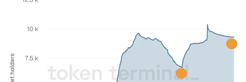 Resolv Labs USR Holder Count Surges 40% Since July: A Sign of Growing Stablecoin Adoption?